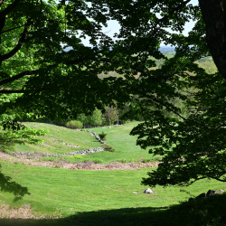 Ward Reservation